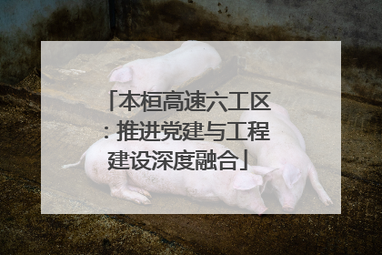 本桓高速六工区：推进党建与工程建设深度融合