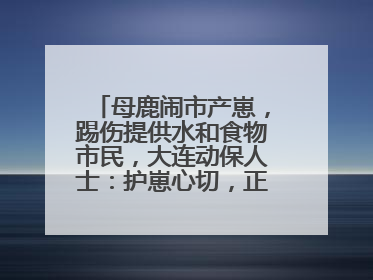 母鹿闹市产崽，踢伤提供水和食物市民，大连动保人士：护崽心切，正在想法送回山里