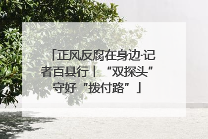 正风反腐在身边·记者百县行丨“双探头”守好“拨付路”