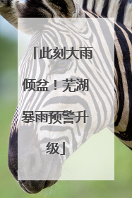 此刻大雨倾盆！芜湖暴雨预警升级