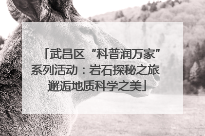 武昌区“科普润万家”系列活动：岩石探秘之旅 邂逅地质科学之美