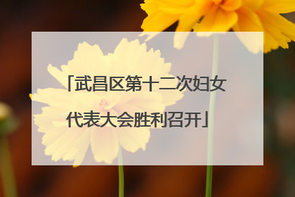 武昌区第十二次妇女代表大会胜利召开