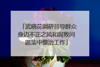 武晓花调研督导群众身边不正之风和腐败问题集中整治工作
