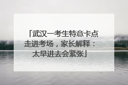 武汉一考生特意卡点走进考场，家长解释：太早进去会紧张