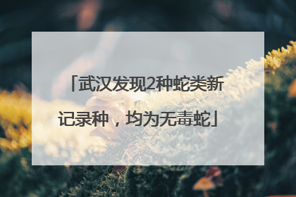 武汉发现2种蛇类新记录种，均为无毒蛇