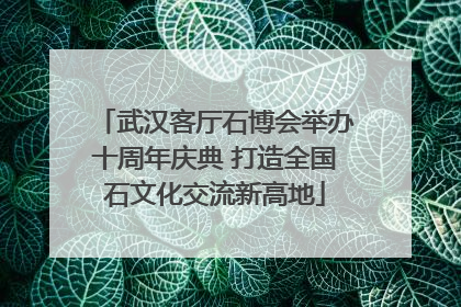 武汉客厅石博会举办十周年庆典 打造全国石文化交流新高地