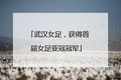 武汉女足，获得首届女足亚冠冠军