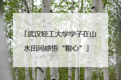 武汉轻工大学学子在山水田间感悟“粮心”