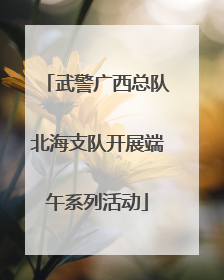 武警广西总队北海支队开展端午系列活动