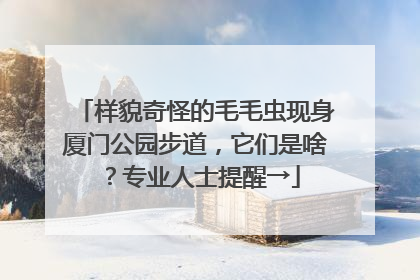 样貌奇怪的毛毛虫现身厦门公园步道，它们是啥？专业人士提醒→