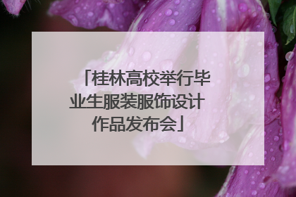 桂林高校举行毕业生服装服饰设计作品发布会