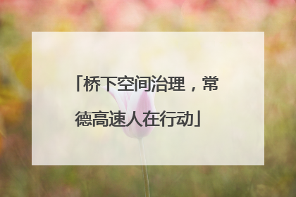 桥下空间治理，常德高速人在行动