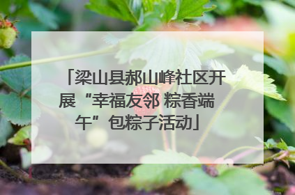 梁山县郝山峰社区开展“幸福友邻 粽香端午”包粽子活动