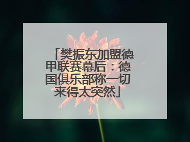 樊振东加盟德甲联赛幕后：德国俱乐部称一切来得太突然