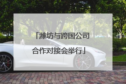 潍坊与跨国公司合作对接会举行