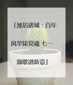 潍坊诸城：百年风华铸党魂 七一颂歌谱新章