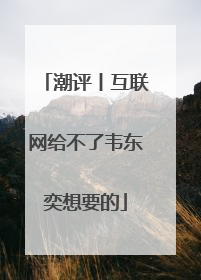 潮评丨互联网给不了韦东奕想要的