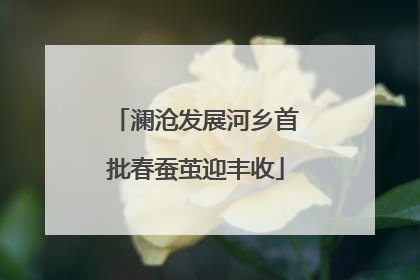澜沧发展河乡首批春蚕茧迎丰收