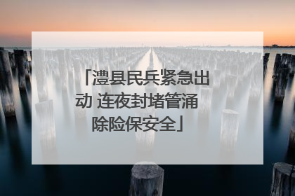 澧县民兵紧急出动 连夜封堵管涌除险保安全