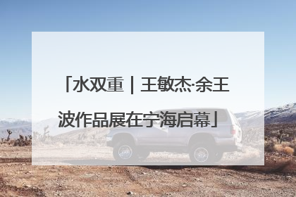 水双重｜王敏杰·余王波作品展在宁海启幕