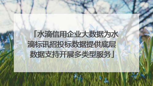水滴信用企业大数据为水滴标讯招投标数据提供底层数据支持开展多类型服务