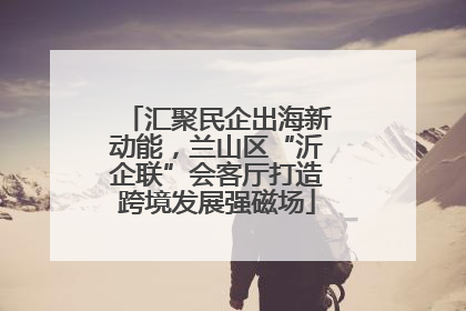 汇聚民企出海新动能，兰山区“沂企联”会客厅打造跨境发展强磁场