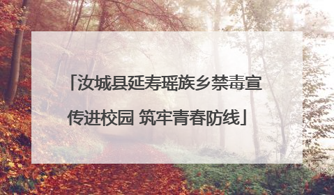 汝城县延寿瑶族乡禁毒宣传进校园 筑牢青春防线