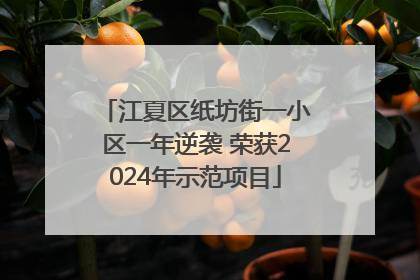 江夏区纸坊街一小区一年逆袭 荣获2024年示范项目