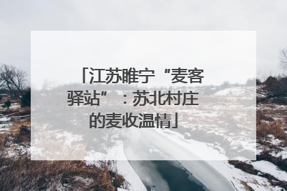 江苏睢宁“麦客驿站”：苏北村庄的麦收温情