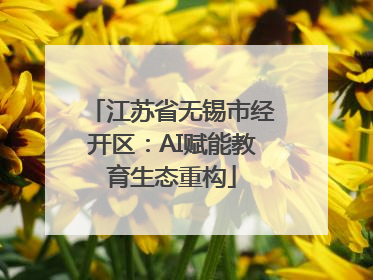 江苏省无锡市经开区：AI赋能教育生态重构