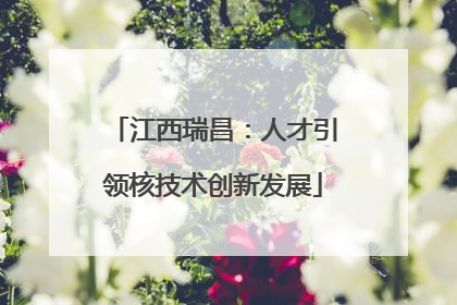 江西瑞昌：人才引领核技术创新发展