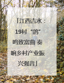 江西吉水：19村“鸽”鸣致富曲 奏响乡村产业振兴强音
