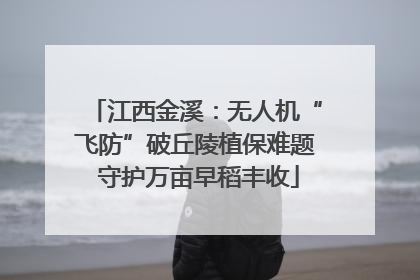 江西金溪：无人机“飞防”破丘陵植保难题 守护万亩早稻丰收