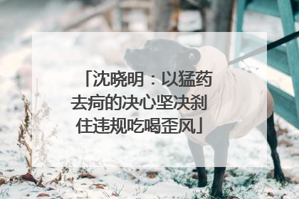 沈晓明：以猛药去疴的决心坚决刹住违规吃喝歪风