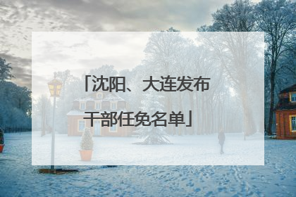 沈阳、大连发布干部任免名单