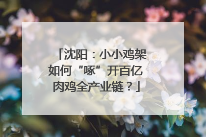 沈阳：小小鸡架如何“啄”开百亿肉鸡全产业链？