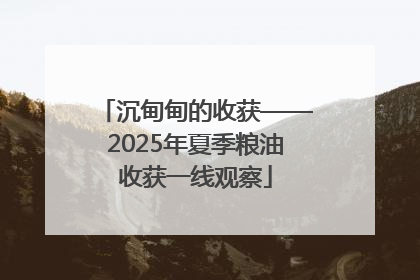 沉甸甸的收获——2025年夏季粮油收获一线观察