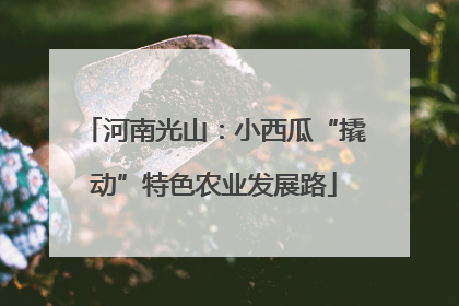 河南光山：小西瓜“撬动”特色农业发展路