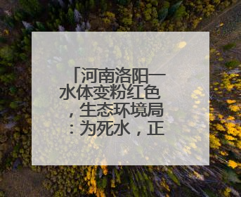 河南洛阳一水体变粉红色，生态环境局：为死水，正抽干处置