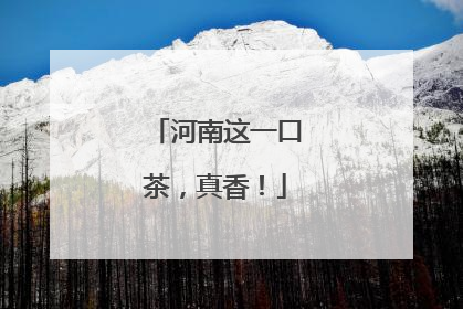 河南这一口茶，真香！