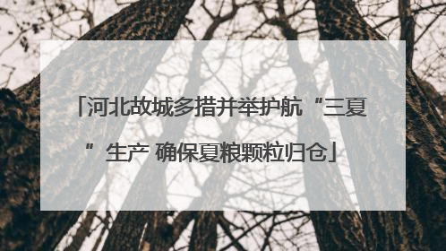 河北故城多措并举护航“三夏”生产 确保夏粮颗粒归仓