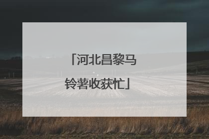 河北昌黎马铃薯收获忙