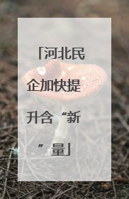 河北民企加快提升含“新”量