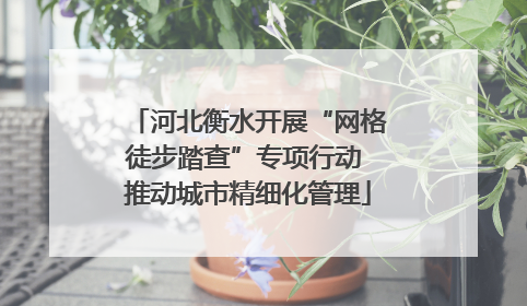 河北衡水开展“网格徒步踏查”专项行动 推动城市精细化管理