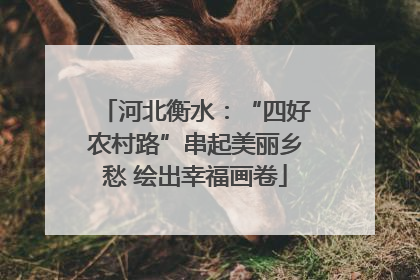 河北衡水：“四好农村路”串起美丽乡愁 绘出幸福画卷