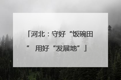河北：守好“饭碗田” 用好“发展地”