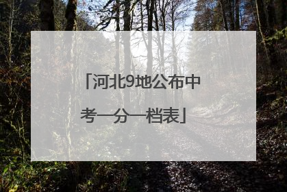 河北9地公布中考一分一档表