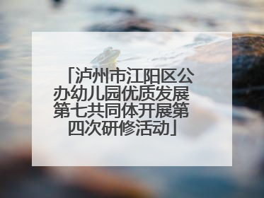 泸州市江阳区公办幼儿园优质发展第七共同体开展第四次研修活动