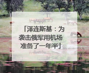 泽连斯基：为袭击俄军用机场准备了一年半
