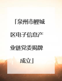 泉州市鲤城区电子信息产业链党委揭牌成立